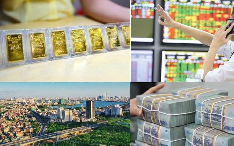 The Role of Digital Assets